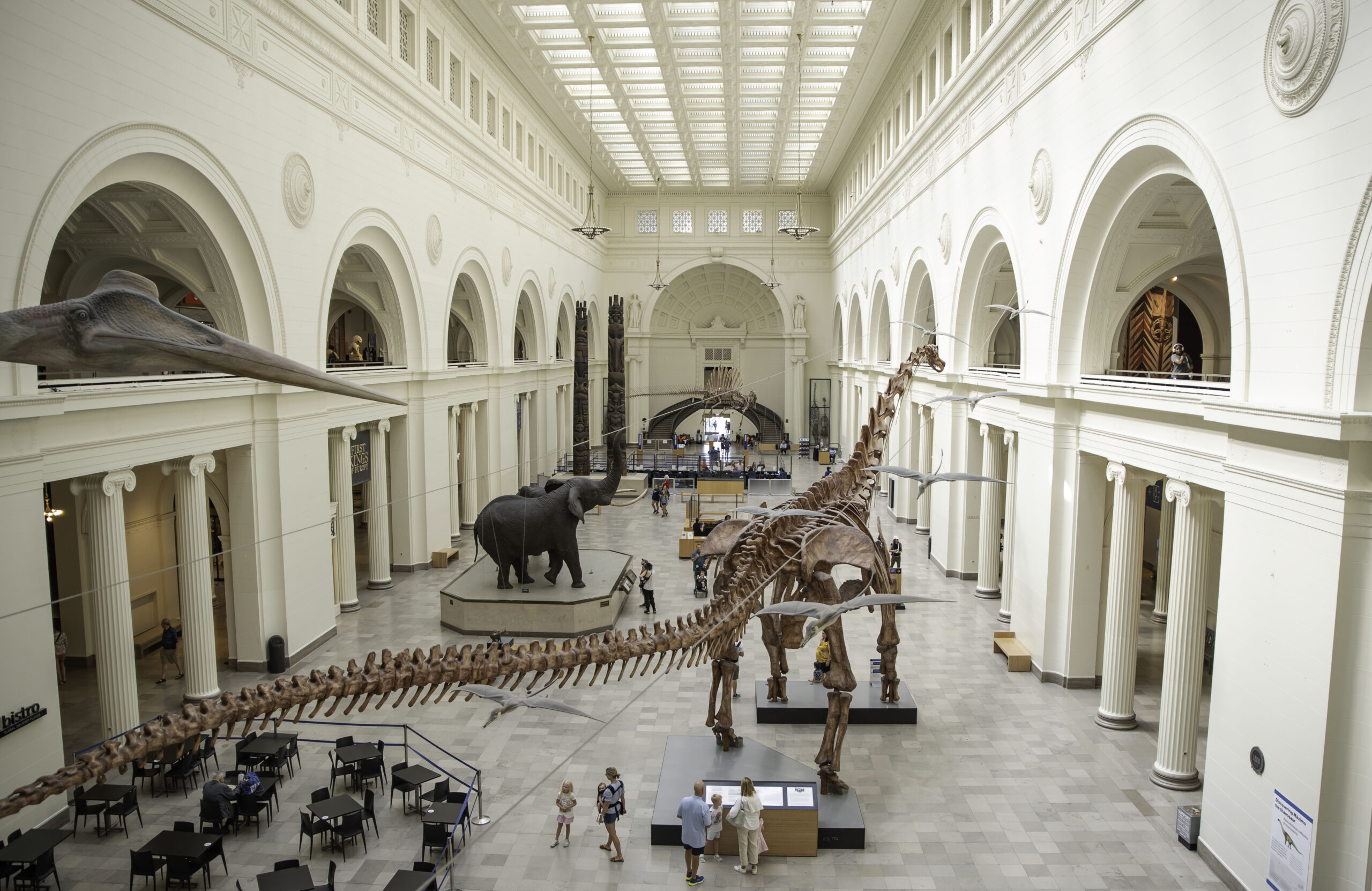 Top 10 Places to Visit in Chicago: The Field Museum