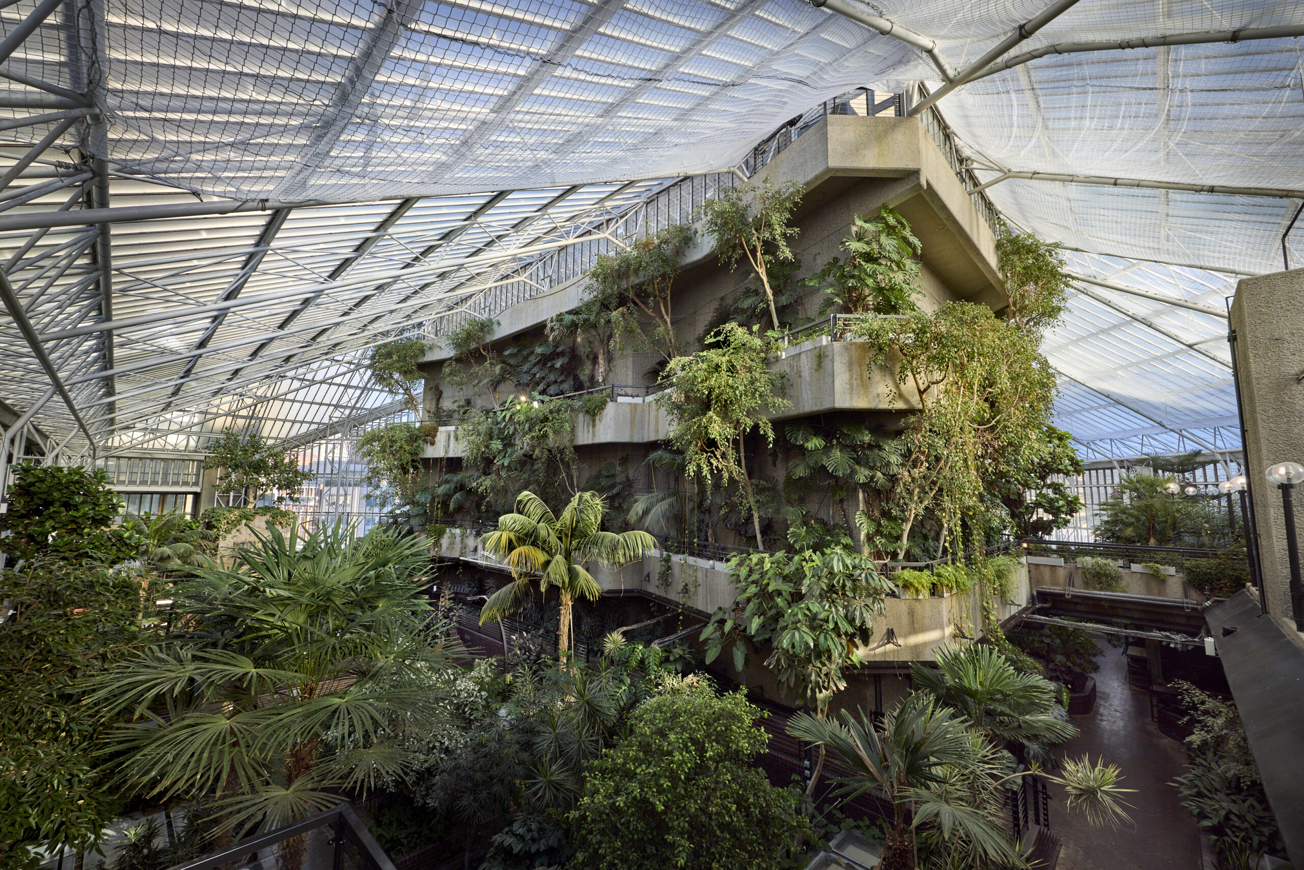 Top 10 Places to Visit in London: The Barbican Conservatory
