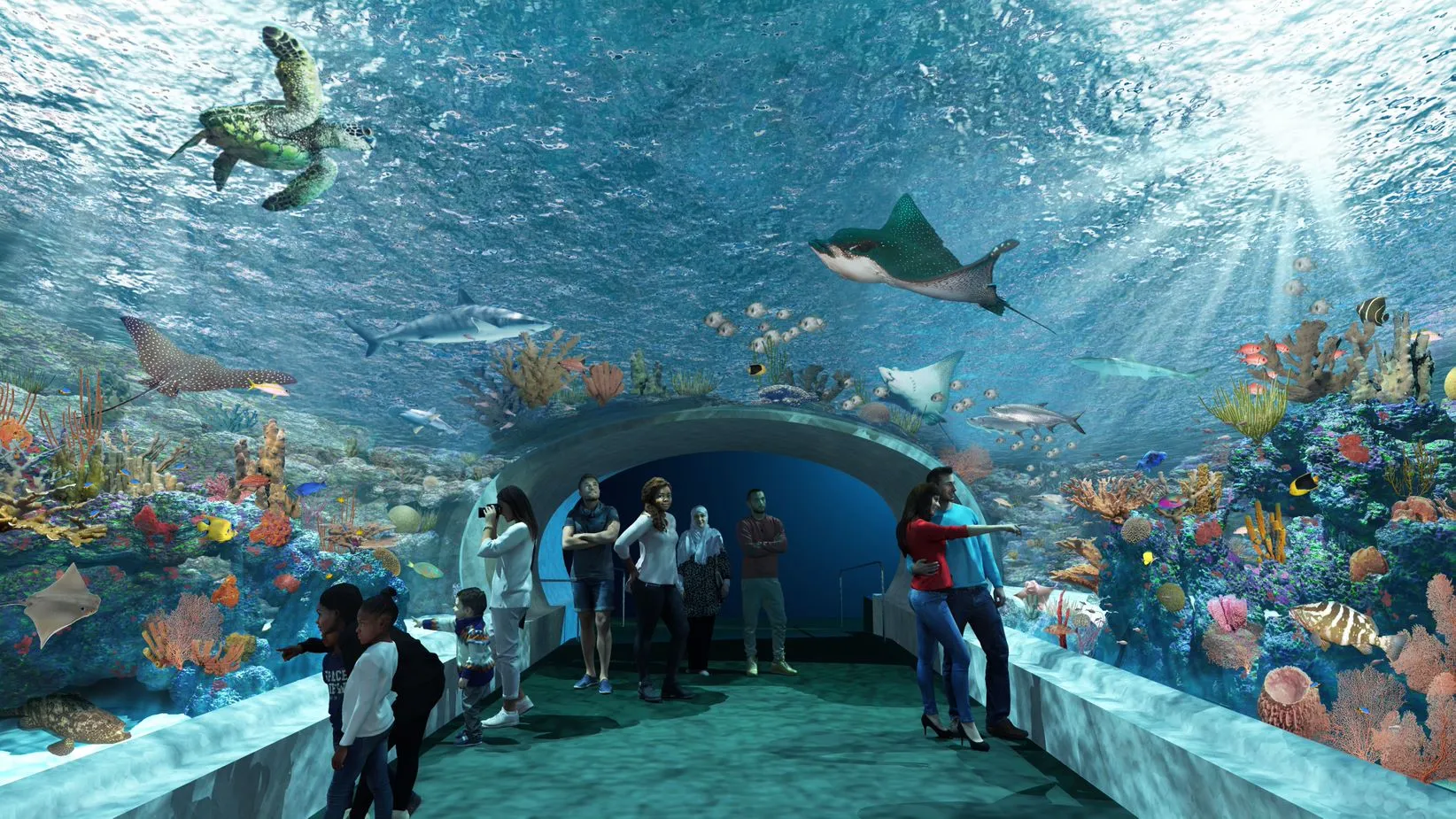 Top 10 Places to Visit in Chicago: Shedd Aquarium