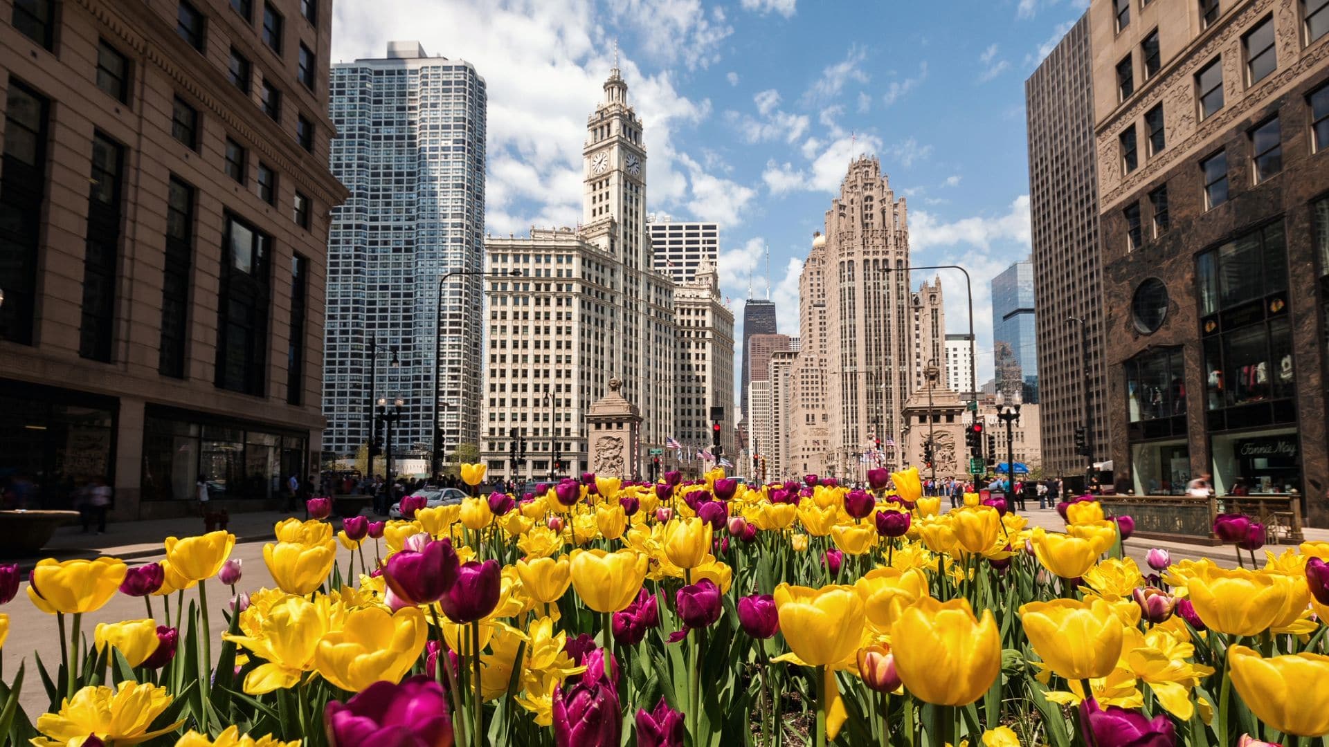 Top 10 Places to Visit in Chicago: The Magnificent Mile