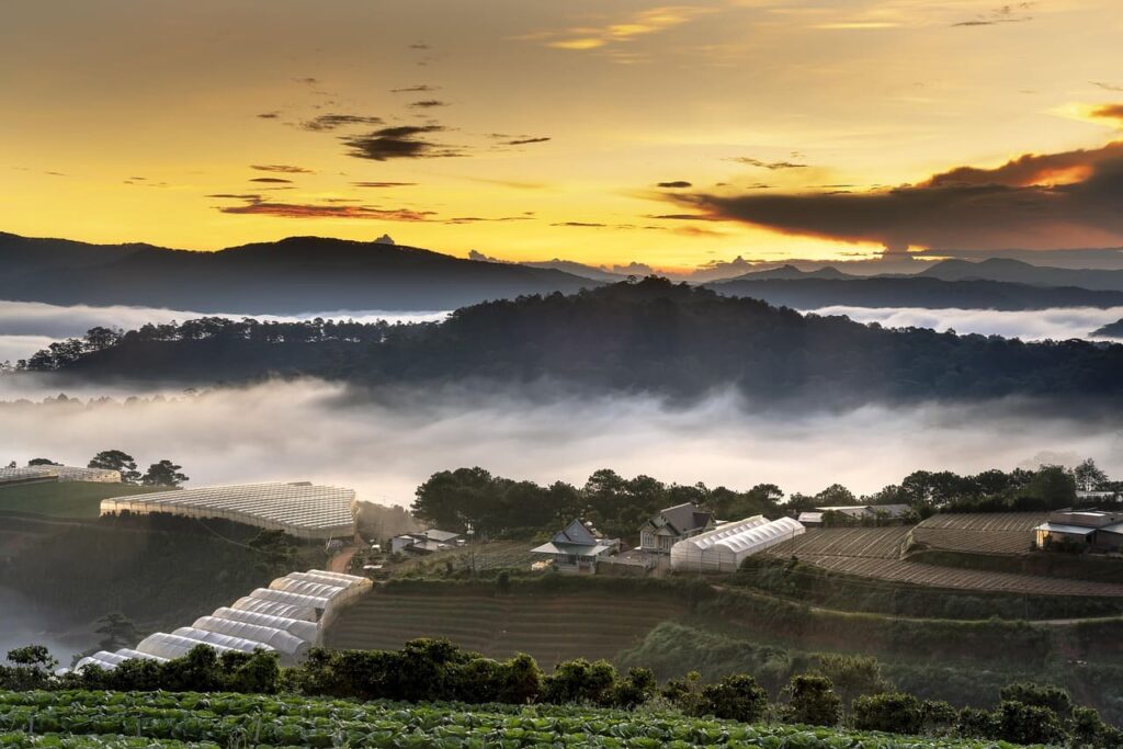 da lat vietnam