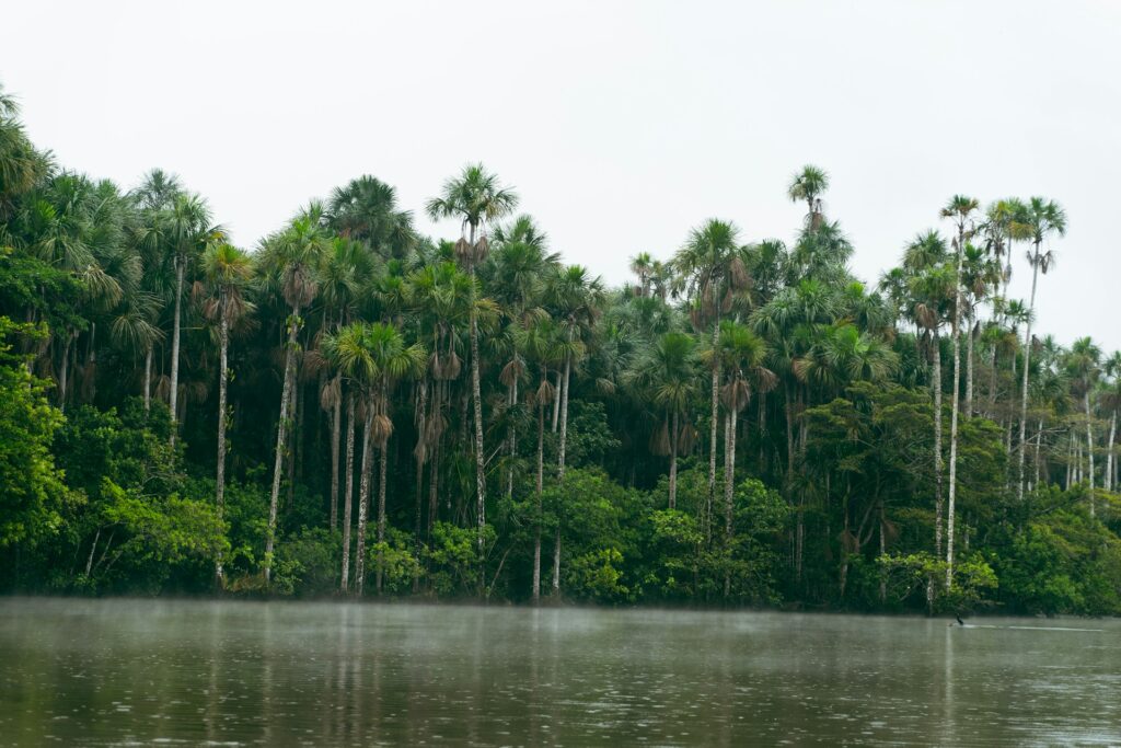 amazon rainforest top 10 places to visit in peru