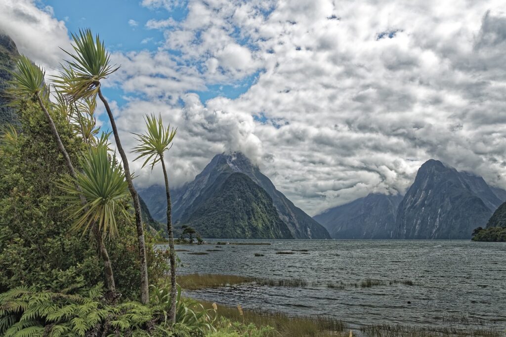 milford sound in new zealand