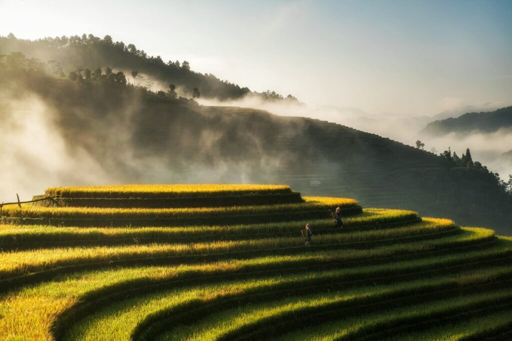 sapa vietnam