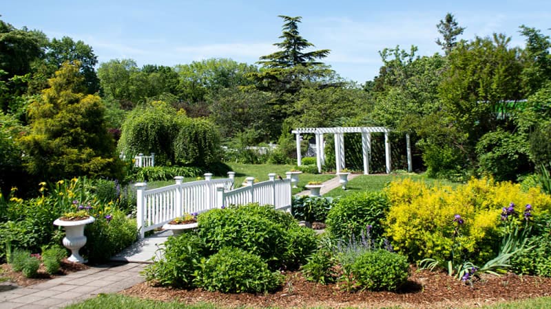Top 10 Must See Spots in Queens: Queens Botanical Garden
