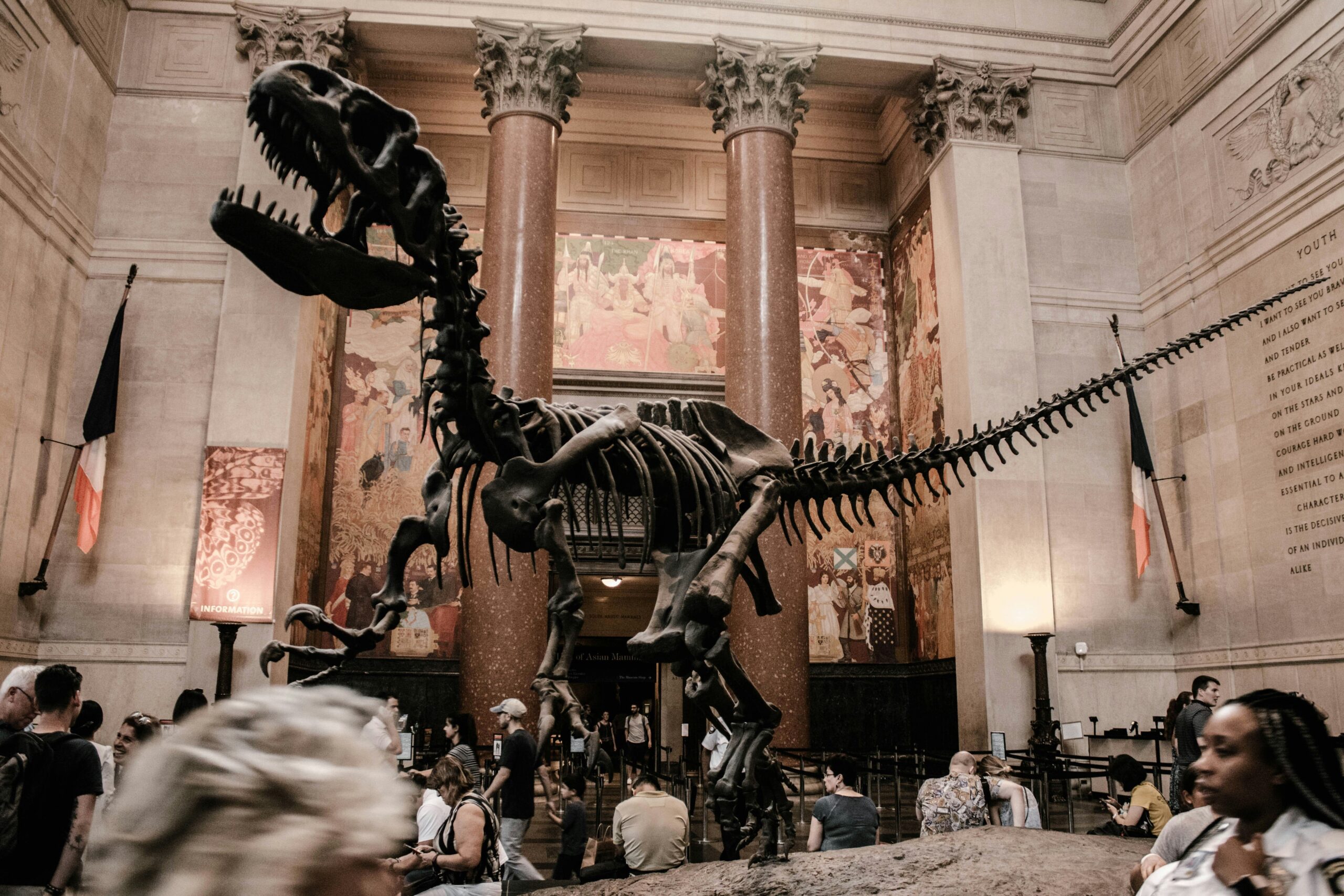Top 10 Museums to Visit in NYC: American Museum of Natural History