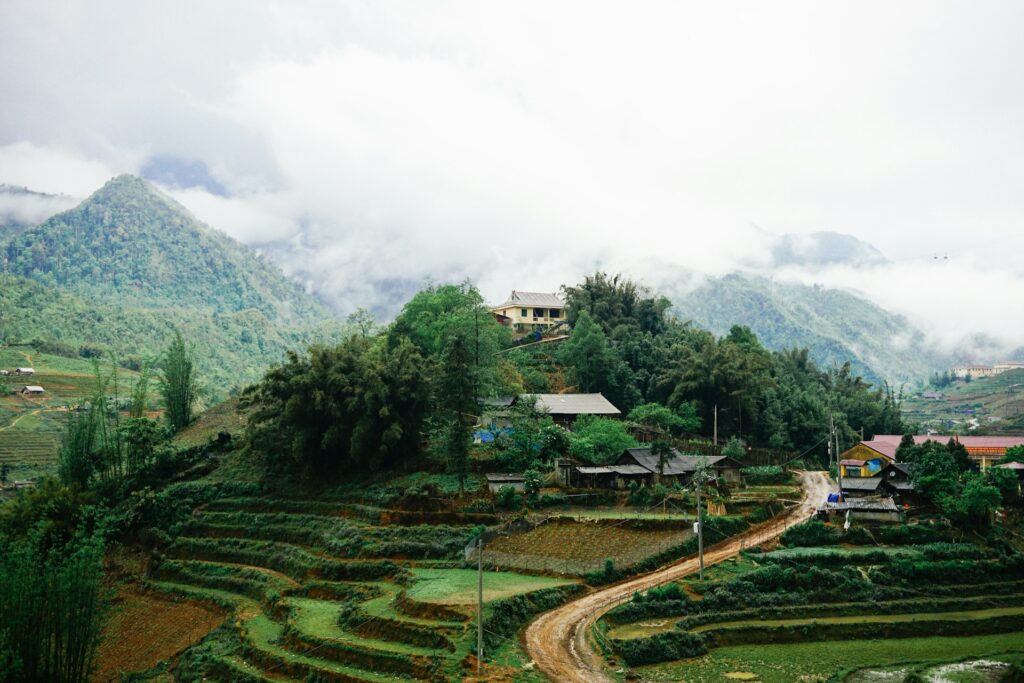 Pepper Farms: Phu Quoc's Aromatic Heritage