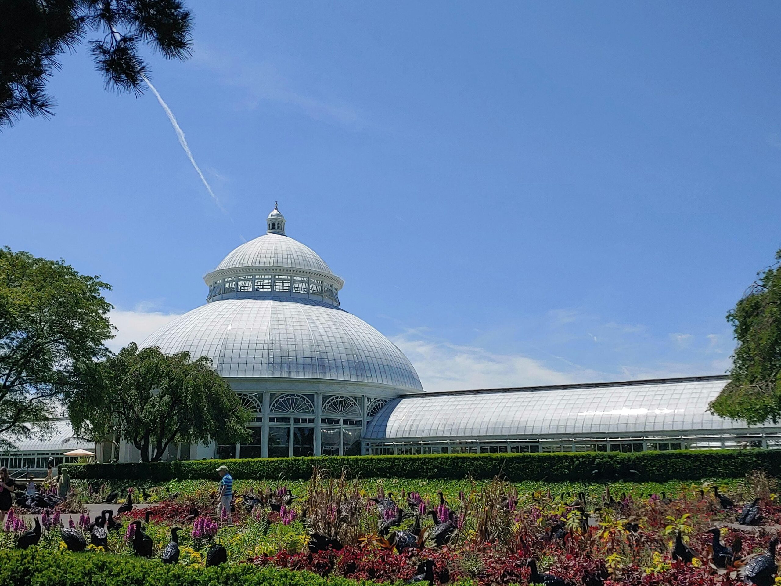 Top 10 things to do in the Bronx: New York Botanical Garden