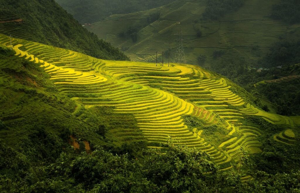 Trekking Routes in Sapa