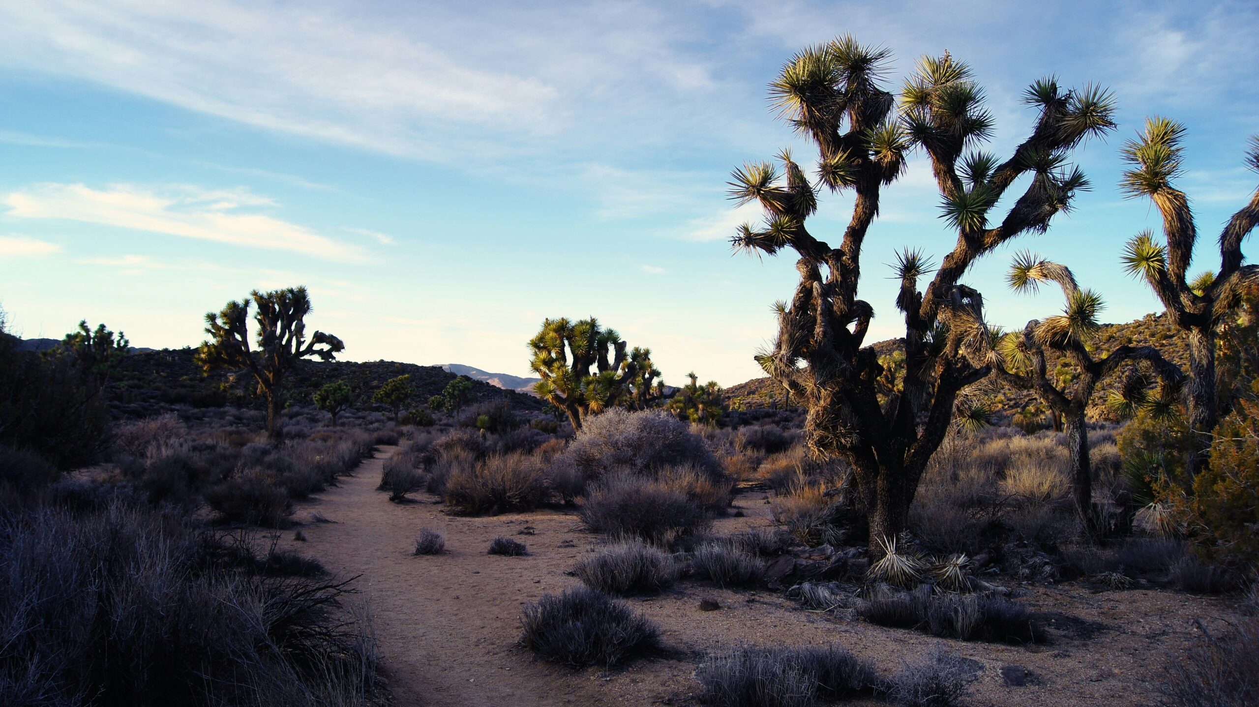 Top 10 Best Parks in NYC: Riverside Park
