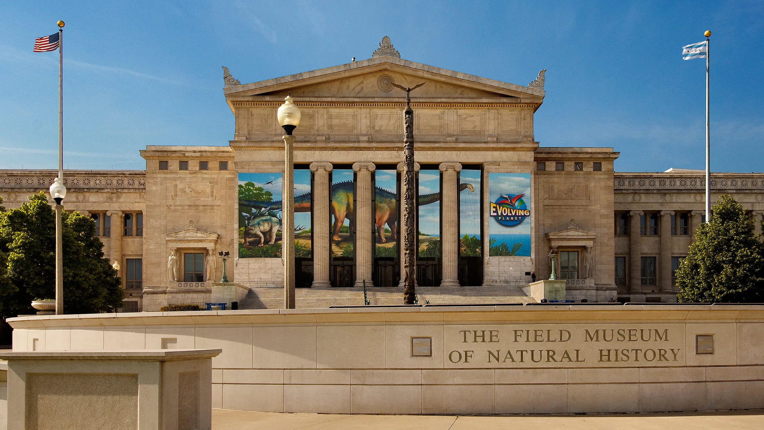 Top 10 Must-Visit Museums in Chicago: Field Museum of Natural History