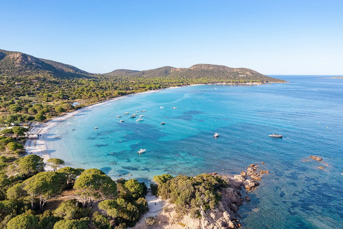 Palombaggia beach with red rocks and pines in Corsica