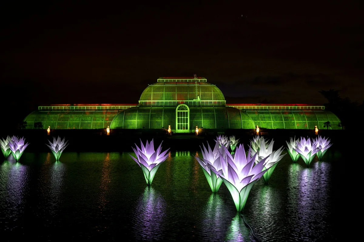 Palm House at Kew Gardens lit up at night with glowing lotus lights on the lake