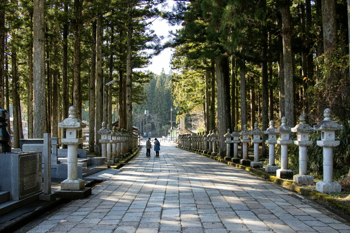 Stone lanterns and cedar trees along the path to Okunoin on Koyasan, Japan