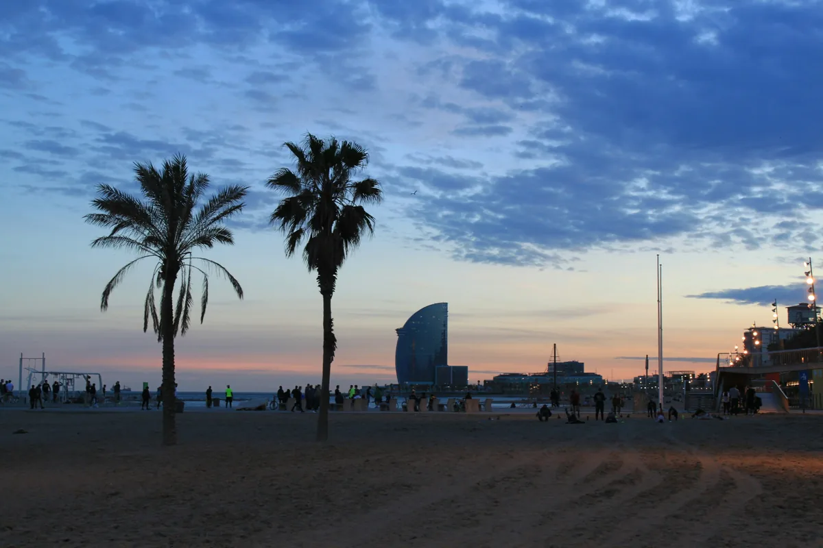 Palm trees on Barceloneta beach at sunset, Barcelona