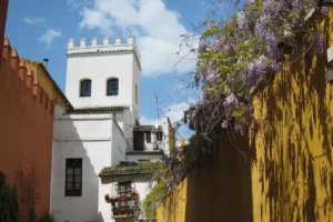 A whitewashed street in the Santa Cruz old town of Seville, Spain