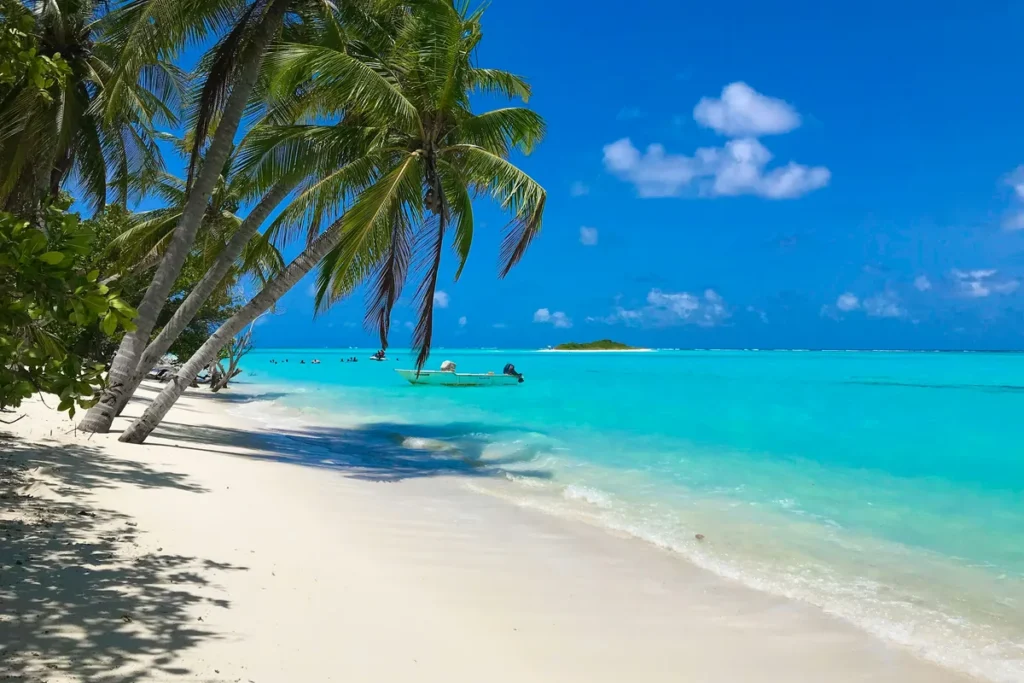 Palm-fringed tropical beach with turquoise water in winter sunshine