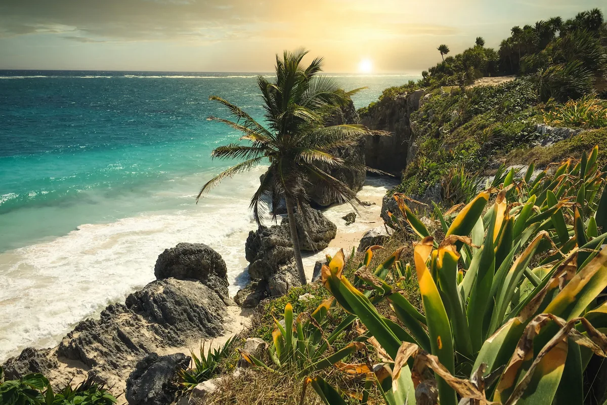 Clifftop palms above the turquoise Caribbean Sea at Tulum, Mexico