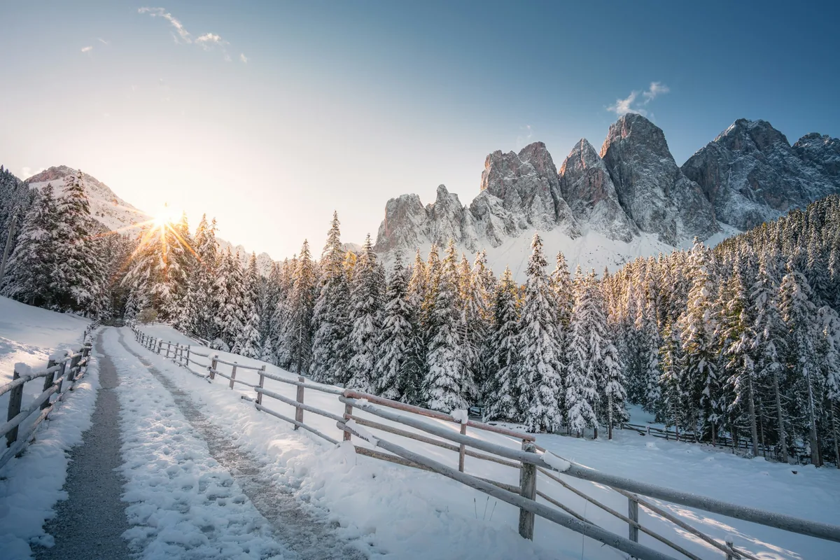 Snowy forest and the jagged Odle peaks of the Dolomites in winter
